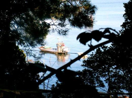 le bassin suite