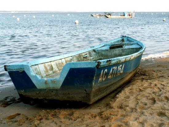le bassin suite