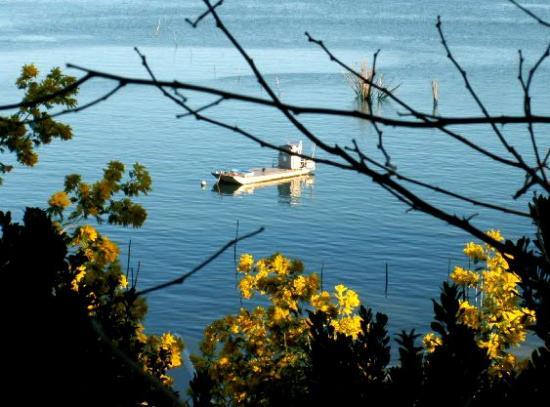 le bassin suite