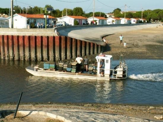 rentrée au port